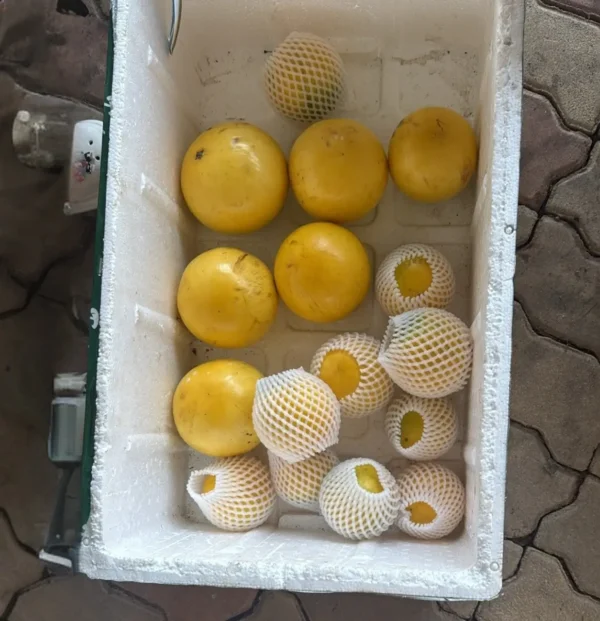 Abiu Fruit (1kg)