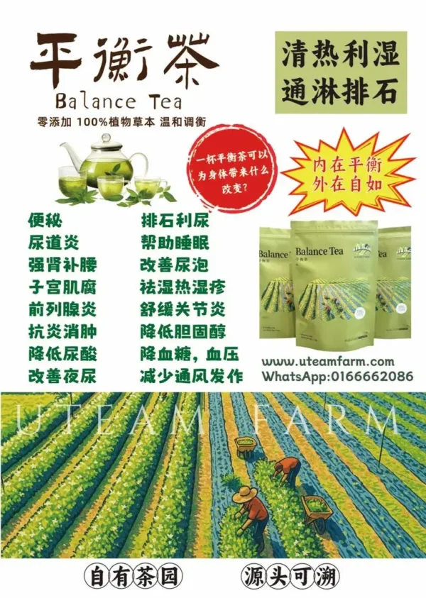 Uteam Farm Balance Tea – Bag Pack